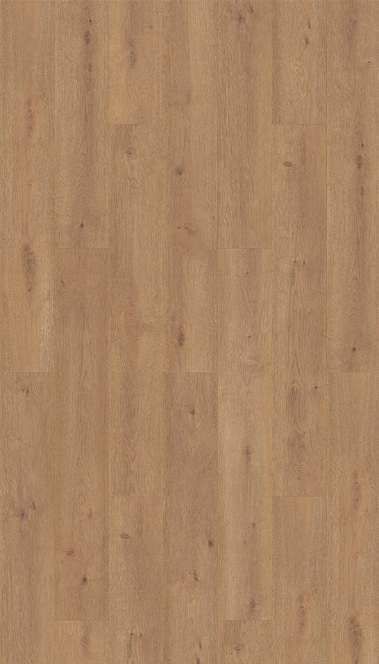 Purefloor 4MV Bern Oak Laminate Flooring 41103878