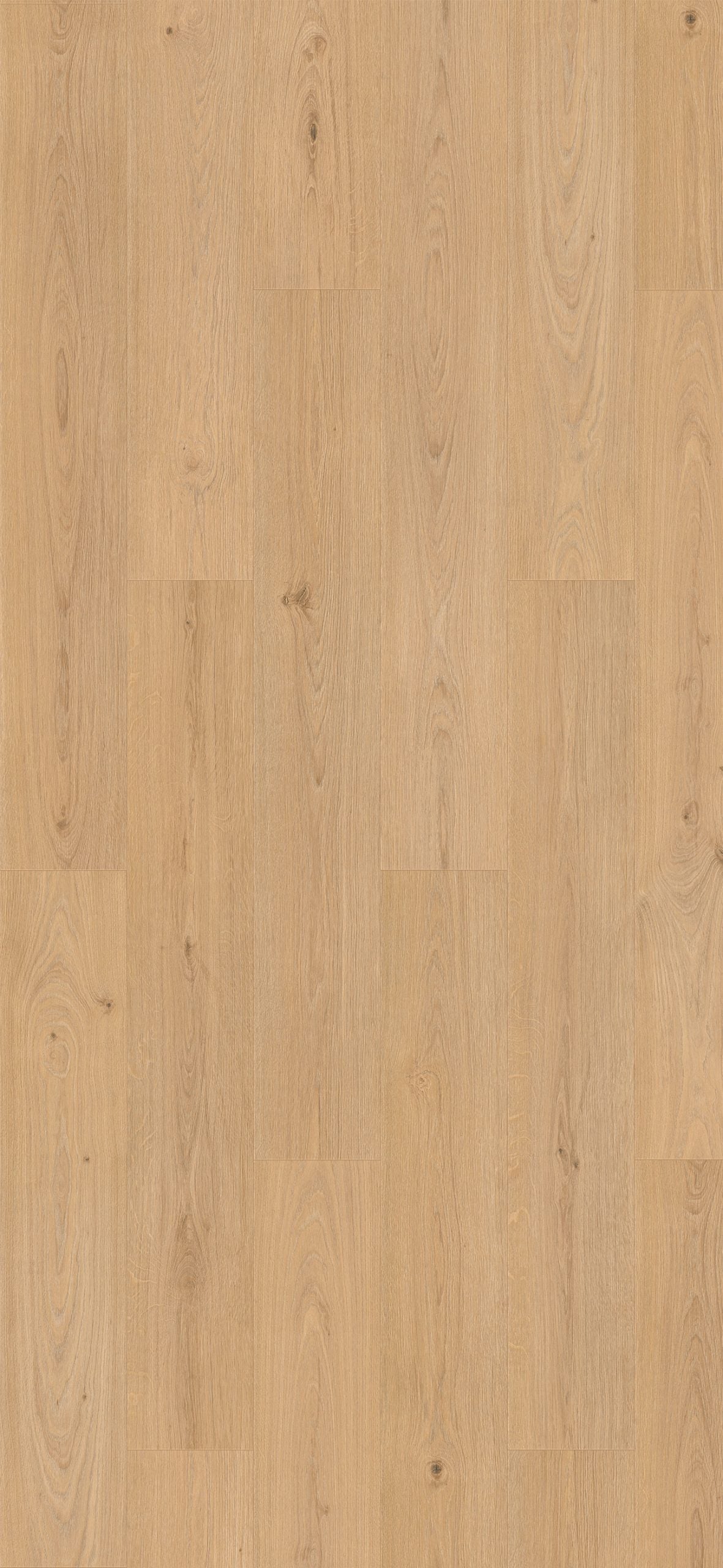 Purefloor 4MV Dalia Oak Laminate Flooring 41103879