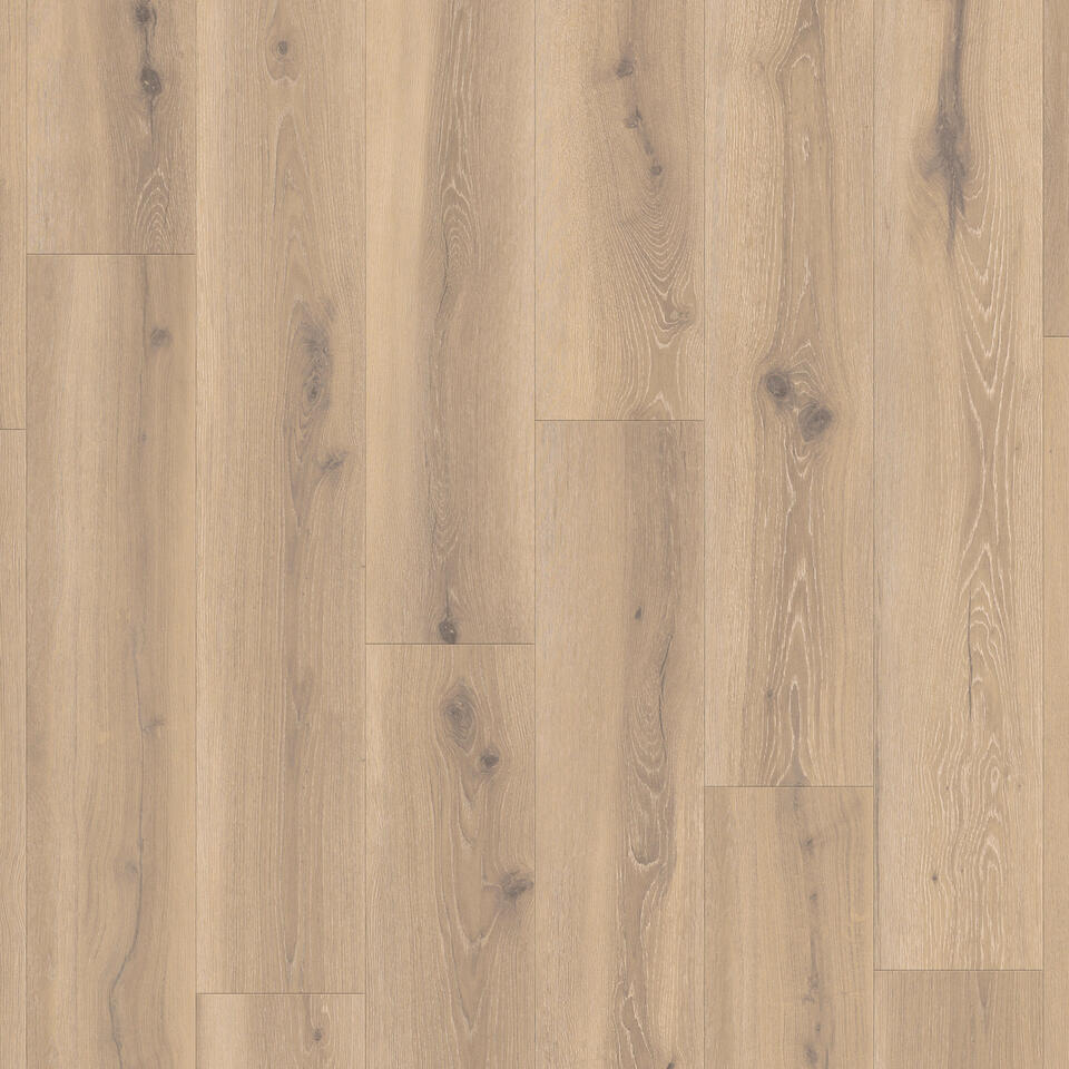 Forest Oak NUTMEG 24513029
