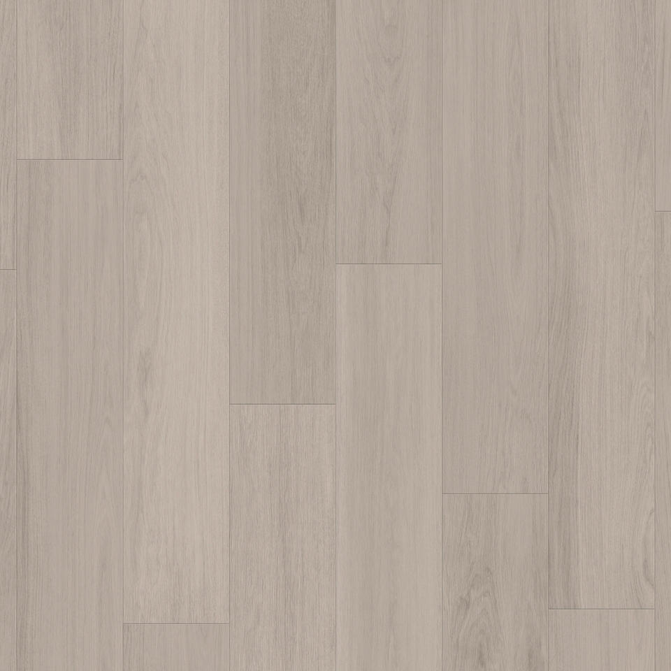 Variant Oak LIGHT GREY 24513039