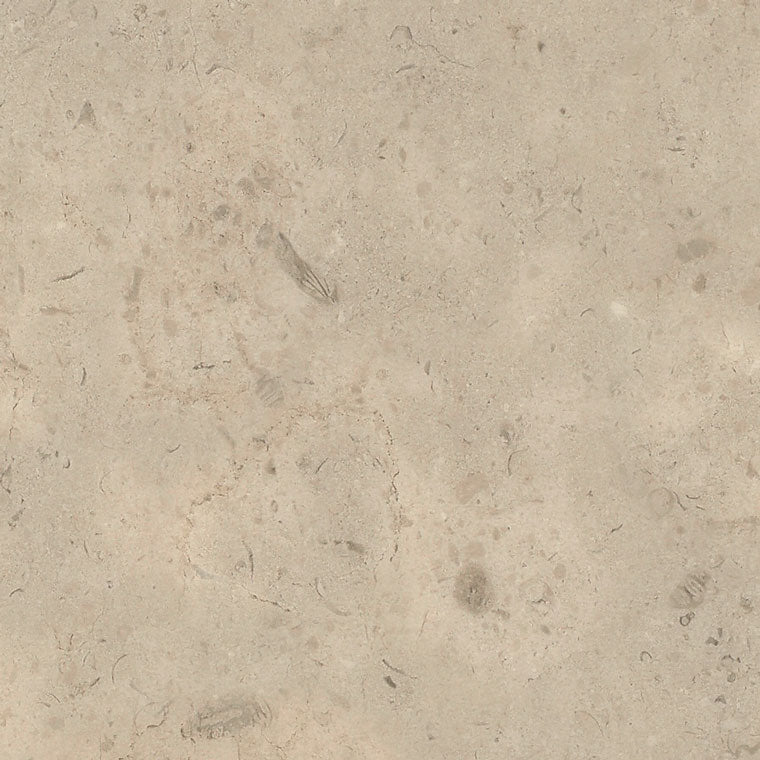 Amtico Signature Fossil Limestone AR0SFL33