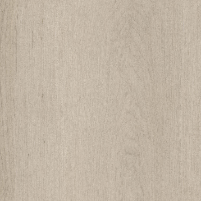 Amtico Spacia White Maple SS5W2654