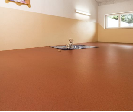 Altro ContraX Burnt Orange CX2015 - Contract Flooring