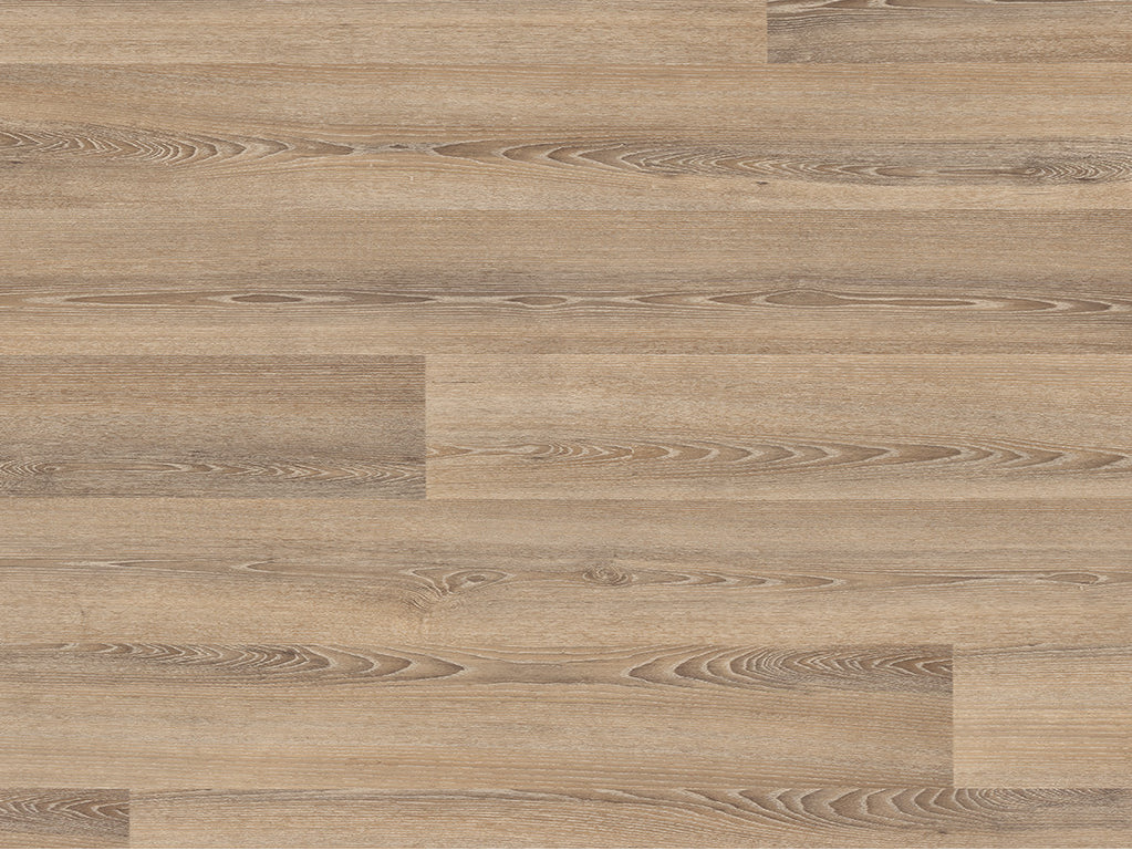 Silentflor PUR Roasted Limed Ash 9954 - Contract Flooring