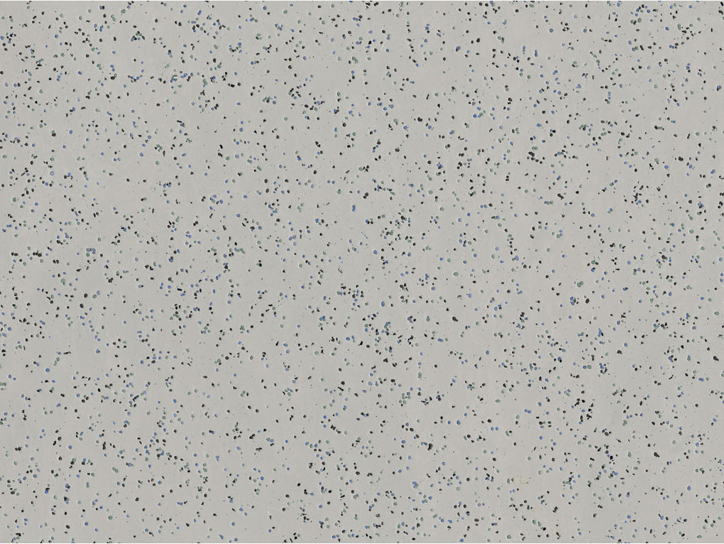 Polysafe Ecomax Santolina 4631 - Contract Flooring