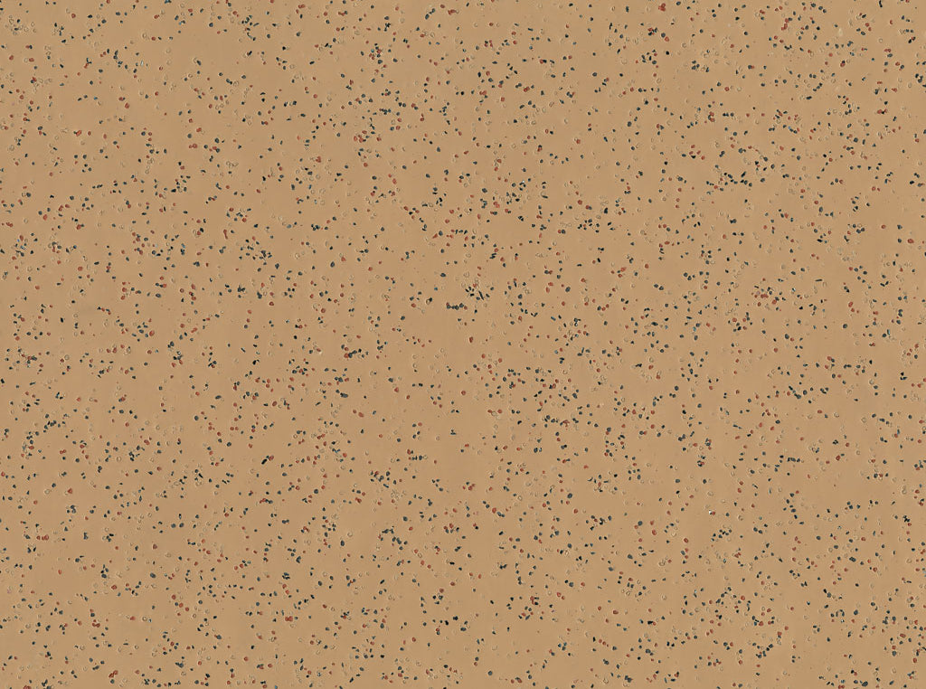 Polysafe Ecomax Caraway 4623 - Contract Flooring